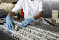 Problém je například u společnosti Madeta. Na snímku sýrařská linka společnosti Madeta na výrobu plísňového sýra Niva.
